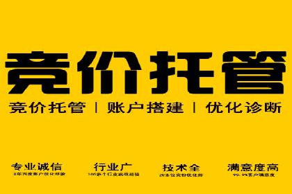 实战解析：百度竞价排名服务成功案例